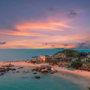 礼包共享小鲤导航
